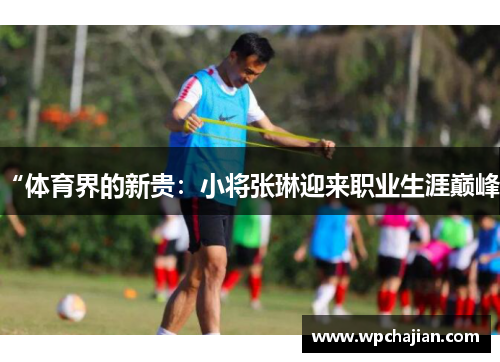 “体育界的新贵：小将张琳迎来职业生涯巅峰”